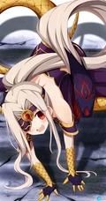 魔法少女伊莉雅美图，FGO动漫人物伊莉雅、美游、小黑精美图集