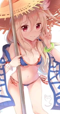 魔法少女伊莉雅美图，FGO动漫人物伊莉雅、美游、小黑精美图集