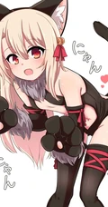 魔法少女伊莉雅美图，FGO动漫人物伊莉雅、美游、小黑精美图集