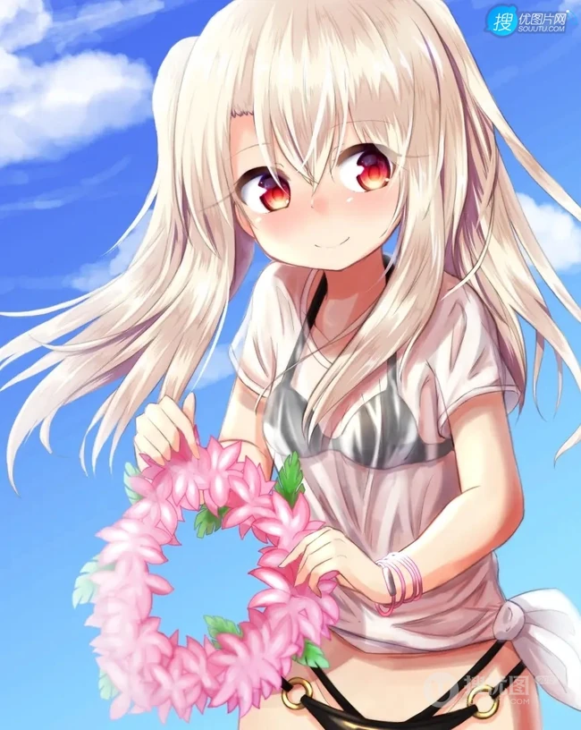 魔法少女伊莉雅美图，FGO动漫人物伊莉雅、美游、小黑精美图集