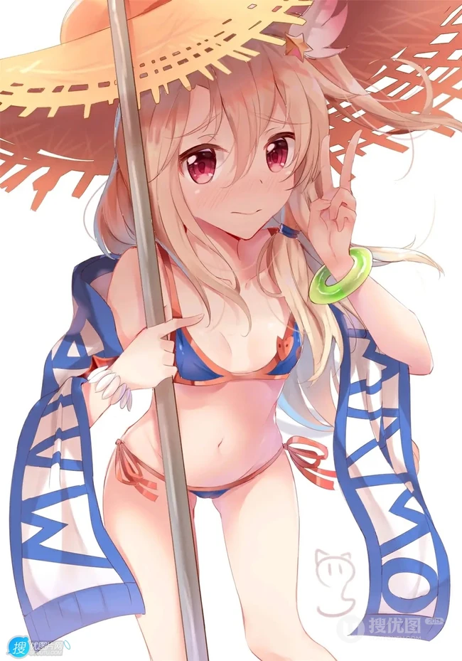 魔法少女伊莉雅美图，FGO动漫人物伊莉雅、美游、小黑精美图集