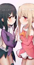 魔法少女伊莉雅美图，FGO动漫人物伊莉雅、美游、小黑精美图集