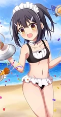 魔法少女伊莉雅美图，FGO动漫人物伊莉雅、美游、小黑精美图集