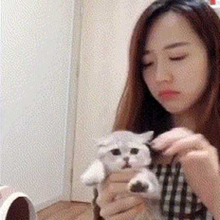 这是典型的以牙还牙啊！女生被猫轻轻咬了一口，竟然还咬猫耳朵！