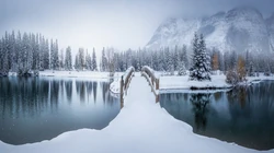 暴美的森林雪景高清电脑壁纸，简单纯洁