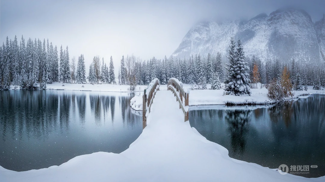 暴美的森林雪景高清电脑壁纸，简单纯洁