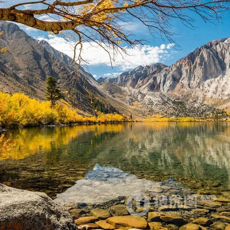 秋意浓，尝试下金黄的树叶唯美风景头像图片吧