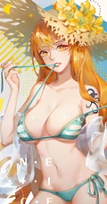 一套海贼王人物&rdquo;娜美&ldquo;的超性感比基尼插画壁纸，娜美的壁纸还是比较稀有的