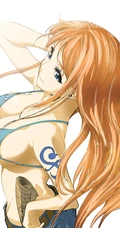 一套海贼王人物&rdquo;娜美&ldquo;的超性感比基尼插画壁纸，娜美的壁纸还是比较稀有的