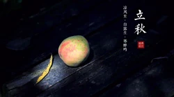 立秋壁纸，以荷塘，知了，水果，果树为背景的立秋节气文字壁纸图片