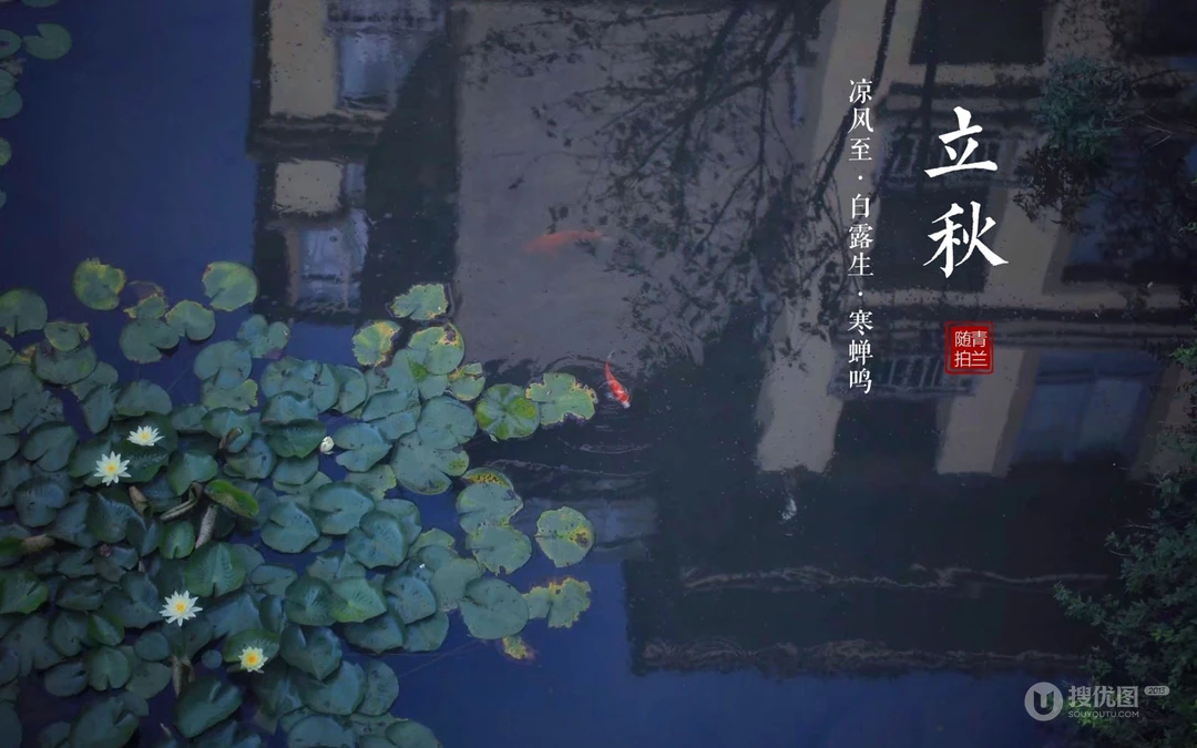 立秋壁纸，以荷塘，知了，水果，果树为背景的立秋节气文字壁纸图片