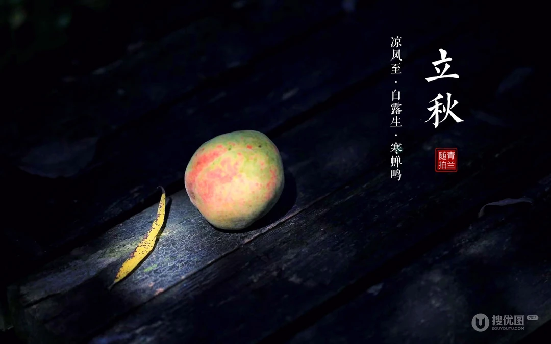立秋壁纸，以荷塘，知了，水果，果树为背景的立秋节气文字壁纸图片