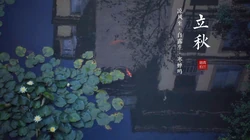 立秋壁纸，以荷塘，知了，水果，果树为背景的立秋节气文字壁纸图片