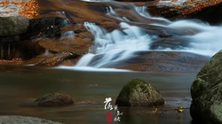 落叶知秋，立秋壁纸，以山间溪水，石头，落叶为背景的立秋文字壁纸图片