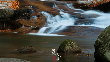 落叶知秋，立秋壁纸，以山间溪水，石头，落叶为背景的立秋文字壁纸图片