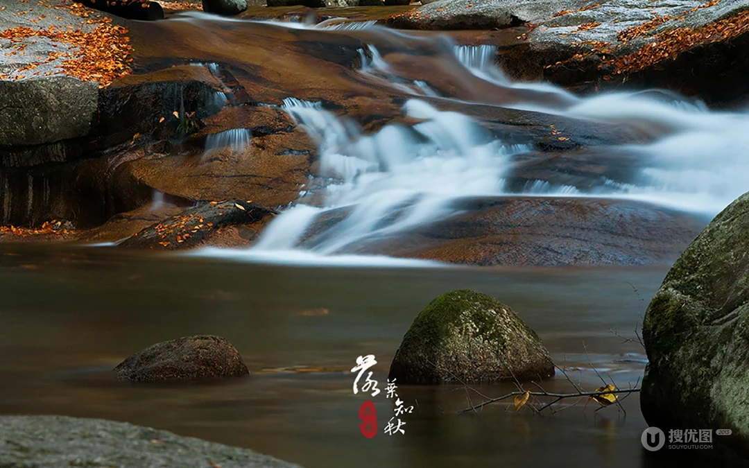 落叶知秋，立秋壁纸，以山间溪水，石头，落叶为背景的立秋文字壁纸图片