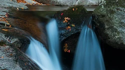 落叶知秋，立秋壁纸，以山间溪水，石头，落叶为背景的立秋文字壁纸图片