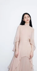 傅菁优雅飘逸清爽长裙礼服写真美照