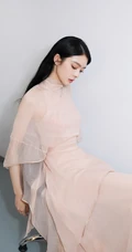 傅菁优雅飘逸清爽长裙礼服写真美照