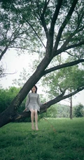 苏青户外草地，小树林写真美照