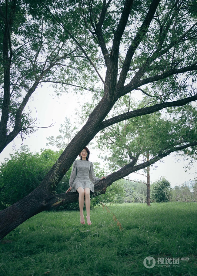 苏青户外草地，小树林写真美照