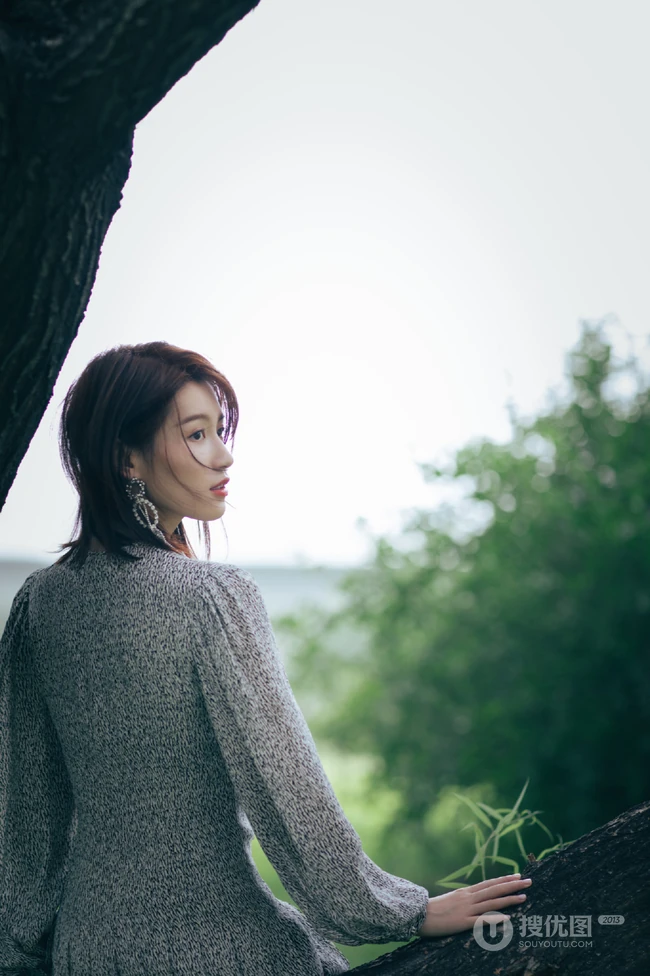 苏青户外草地，小树林写真美照