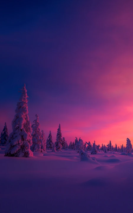 赤红的夕阳照射在雪地树木的超唯美风景手机壁纸免费下载