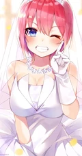 超美婚纱装，新娘装二次元动漫女生插画图片（p站画师作品）