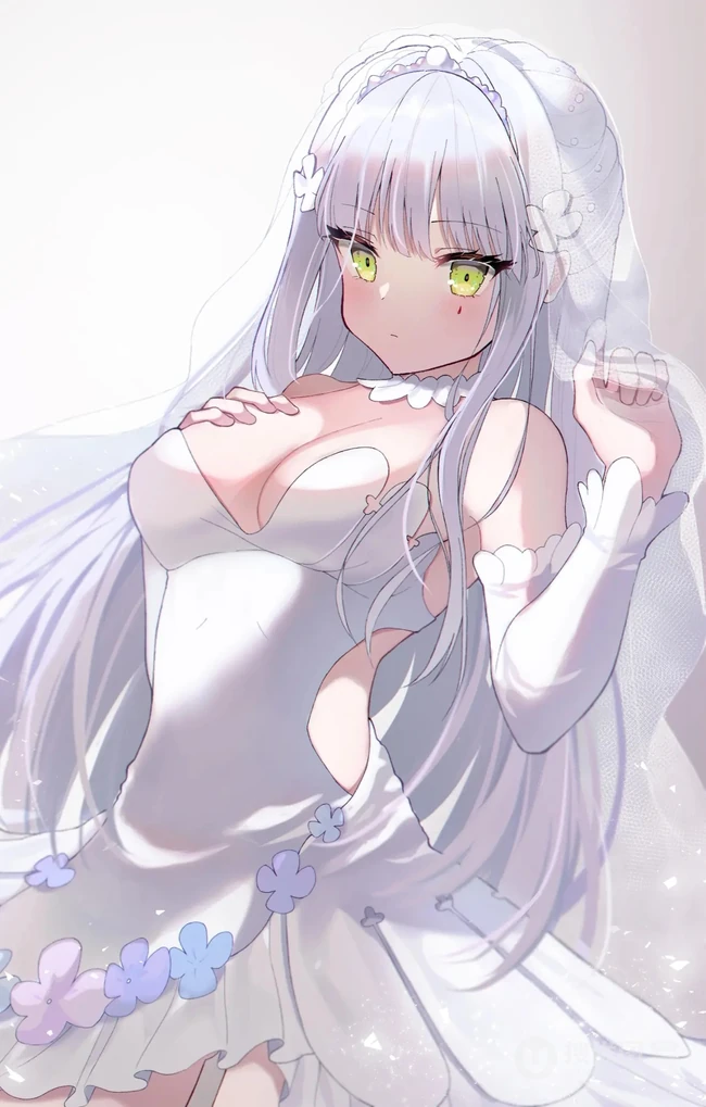 超美婚纱装，新娘装二次元动漫女生插画图片（p站画师作品）