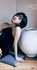 BLACKPINK成员金智秀、金智妮、朴彩英、LISA清凉夏日写真照