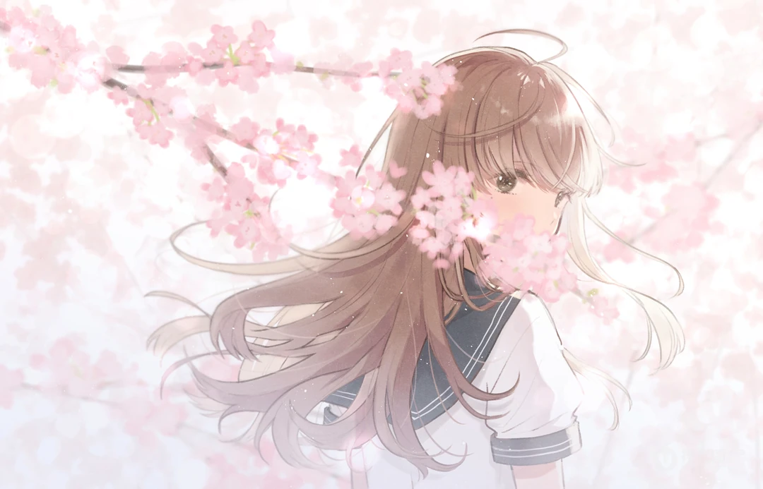 看了能摄入心灵的动漫唯美少女插画桌面壁纸图片