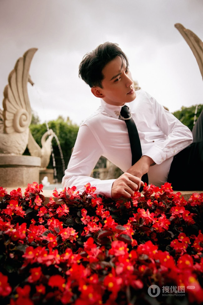 衬衫帅哥徐正溪庄园，花园风写真图片