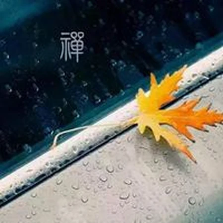 很有禅意，静心，走心，让人看了安静的唯美禅意个性微信头像图片