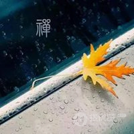 很有禅意，静心，走心，让人看了安静的唯美禅意个性微信头像图片