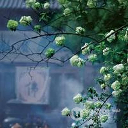 很有禅意，静心，走心，让人看了安静的唯美禅意个性微信头像图片