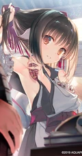不同风格，不同画风动漫女生，精选二次元女生插画图片集（杂图）