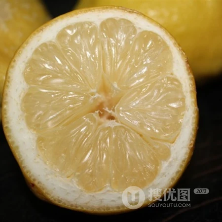 看起来就很酸的柠檬头像，酸味十足的切片柠檬个性清新头像图片