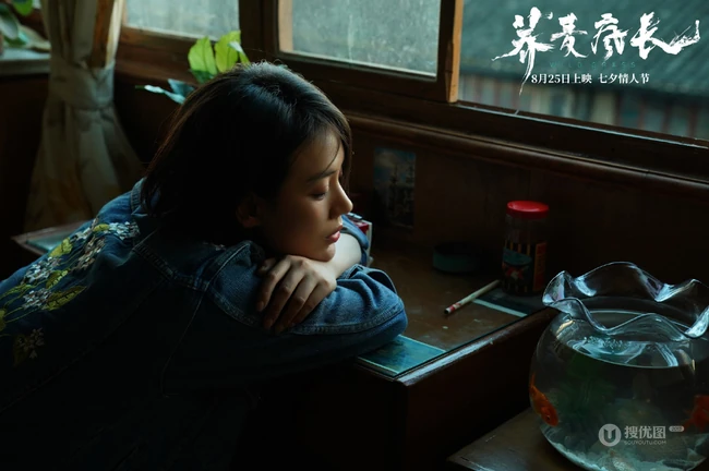 电影《荞麦疯长》马思纯个人气质，纯美，复古剧照图片
