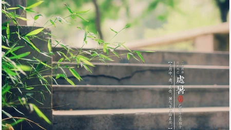 处暑壁纸，以清新秋蝉、台阶、柳叶等景色为背景的处暑节气壁纸图片