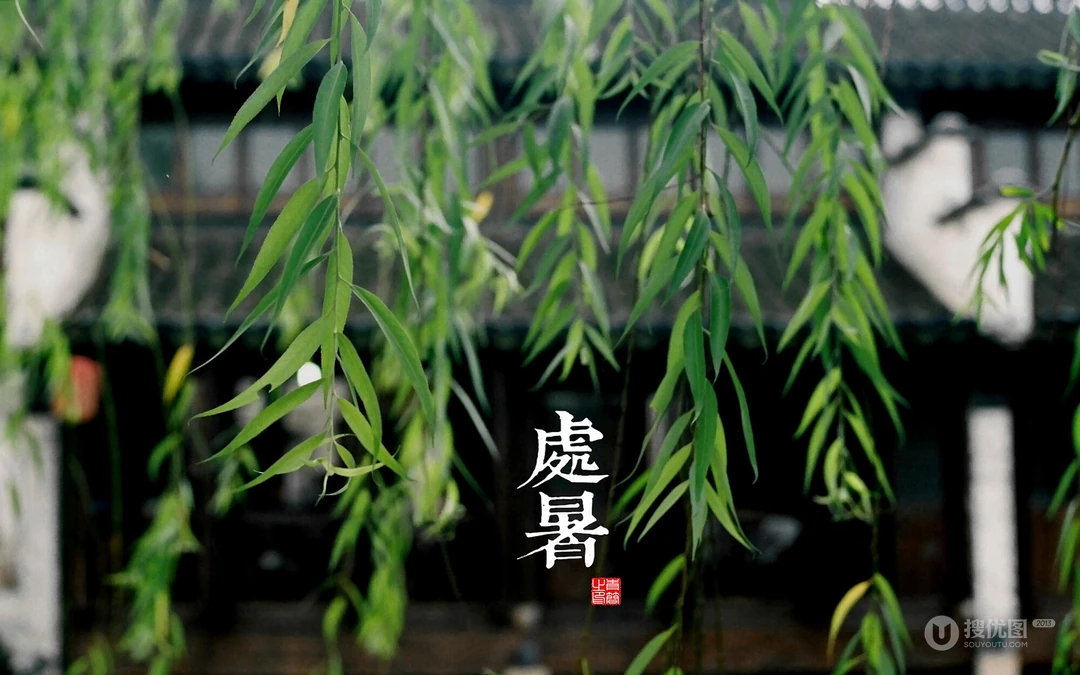 处暑壁纸，以清新秋蝉、台阶、柳叶等景色为背景的处暑节气壁纸图片