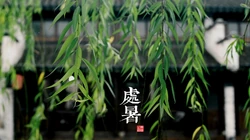 处暑壁纸，以清新秋蝉、台阶、柳叶等景色为背景的处暑节气壁纸图片