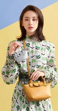 王子文品牌代言写真，手拿多款包包，魅力十足