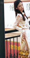 金晨时尚优雅街拍写真，多套裙装服饰着身魅力十足