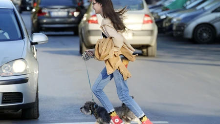 牵着宠物狗狗逛街的时尚美女街拍电脑壁纸