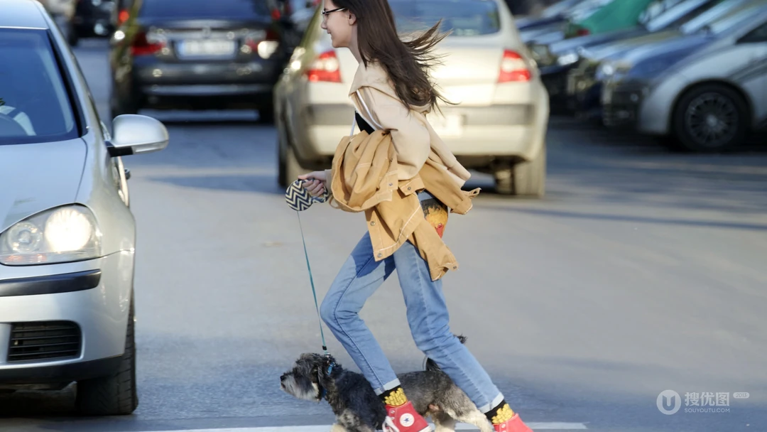 牵着宠物狗狗逛街的时尚美女街拍电脑壁纸