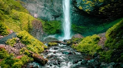 绿色护眼万物复苏的森林山水大自然风景电脑壁纸专辑