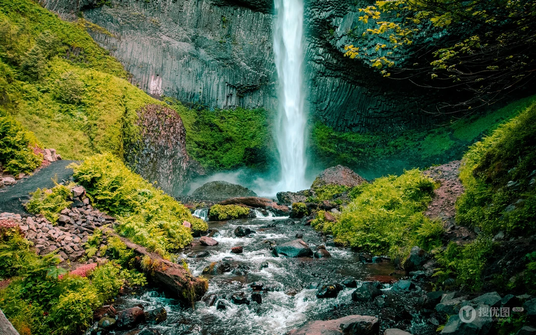 绿色护眼万物复苏的森林山水大自然风景电脑壁纸专辑
