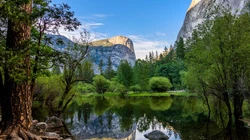 绿色护眼万物复苏的森林山水大自然风景电脑壁纸专辑