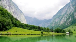 绿色护眼万物复苏的森林山水大自然风景电脑壁纸专辑