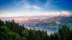 绿色护眼万物复苏的森林山水大自然风景电脑壁纸专辑